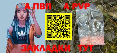 гидра Кингисепп
