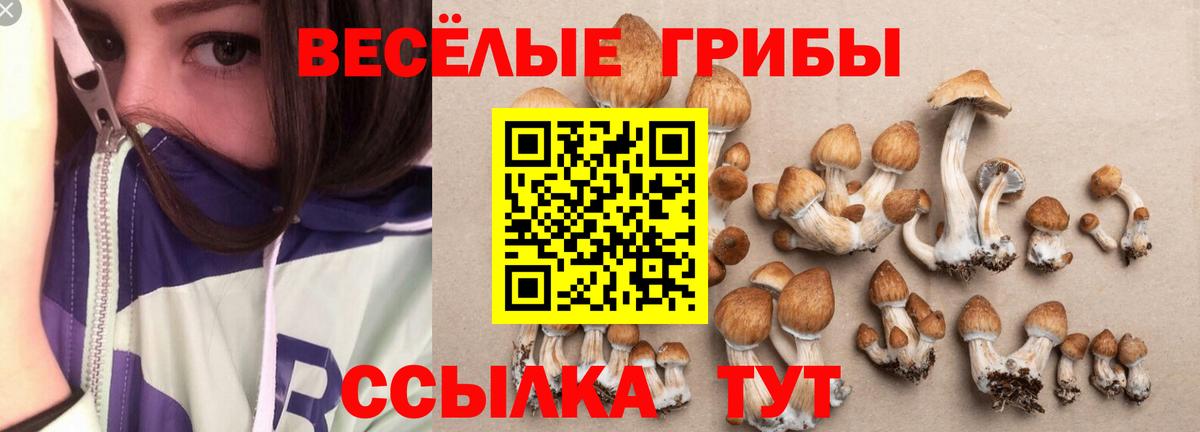 Лянтор  Галлюциногенные грибы мицелий  Вход с VPN 